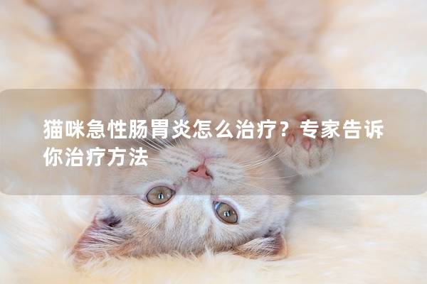 猫咪急性肠胃炎怎么治疗？专家告诉你治疗方法