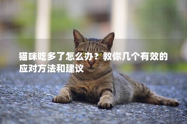 猫咪吃多了怎么办？教你几个有效的应对方法和建议