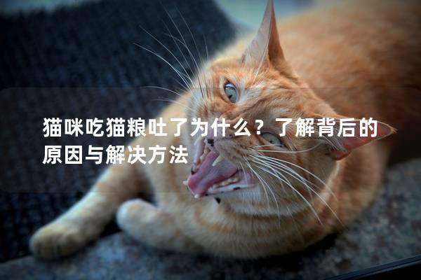 猫咪吃猫粮吐了为什么？了解背后的原因与解决方法