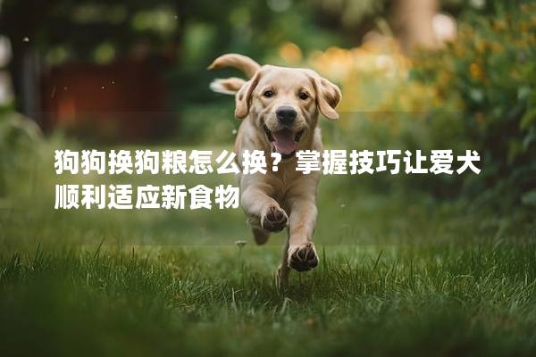 狗狗换狗粮怎么换？掌握技巧让爱犬顺利适应新食物