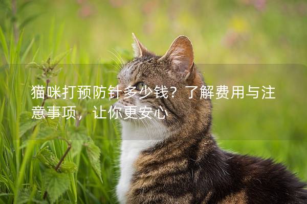 猫咪打预防针多少钱？了解费用与注意事项，让你更安心