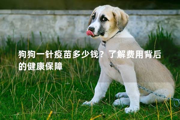 狗狗一针疫苗多少钱？了解费用背后的健康保障