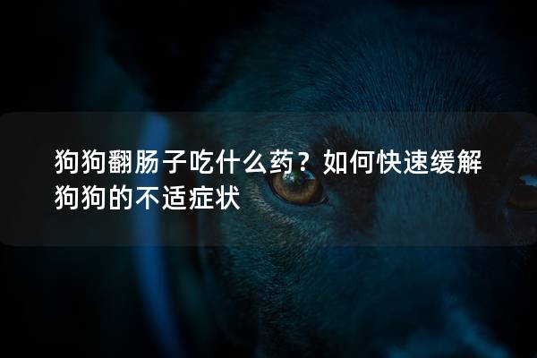 狗狗翻肠子吃什么药？如何快速缓解狗狗的不适症状