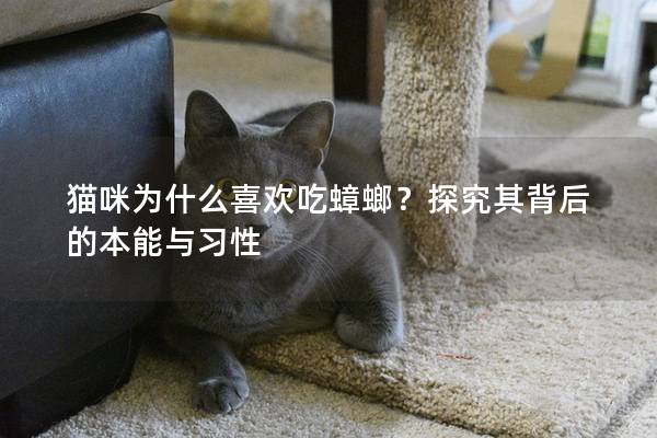 猫咪为什么喜欢吃蟑螂？探究其背后的本能与习性