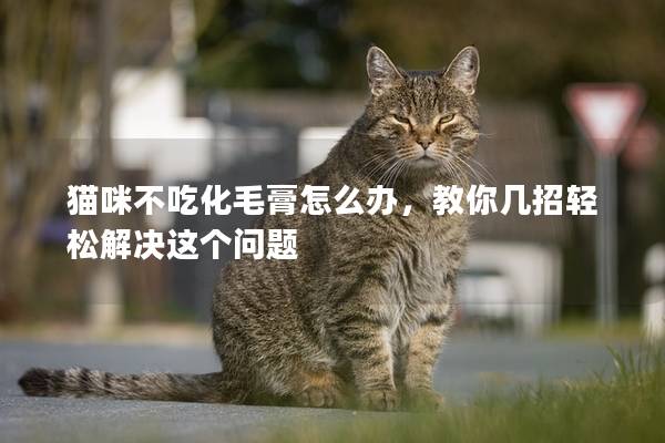 猫咪不吃化毛膏怎么办，教你几招轻松解决这个问题