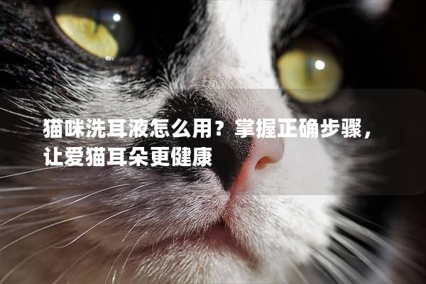 猫咪洗耳液怎么用？掌握正确步骤，让爱猫耳朵更健康