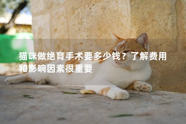 猫咪做绝育手术要多少钱？了解费用和影响因素很重要