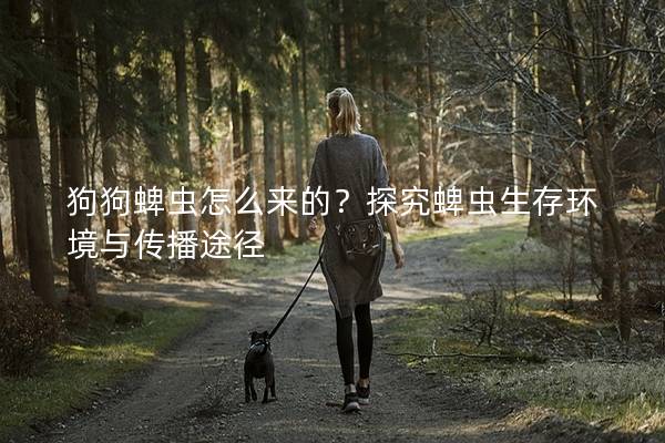 狗狗蜱虫怎么来的？探究蜱虫生存环境与传播途径