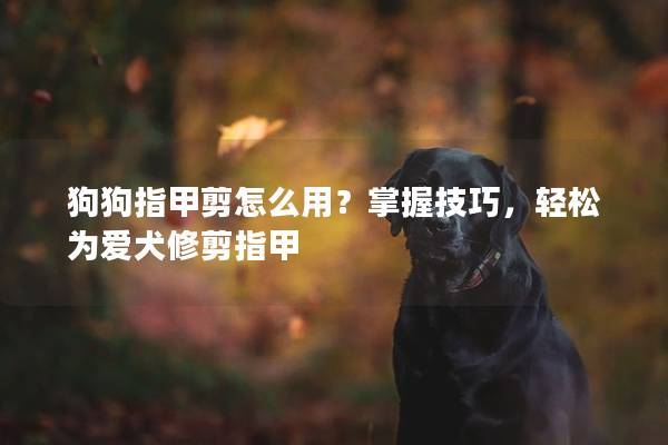 狗狗指甲剪怎么用？掌握技巧，轻松为爱犬修剪指甲