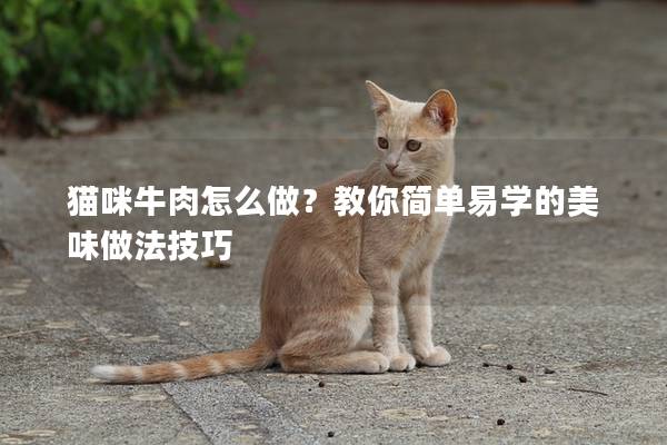 猫咪牛肉怎么做？教你简单易学的美味做法技巧