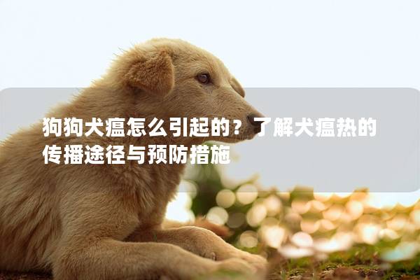 狗狗犬瘟怎么引起的？了解犬瘟热的传播途径与预防措施