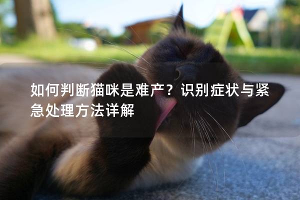 如何判断猫咪是难产？识别症状与紧急处理方法详解