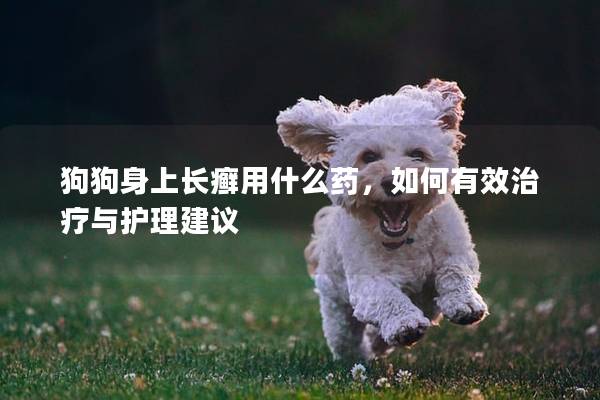 狗狗身上长癣用什么药，如何有效治疗与护理建议