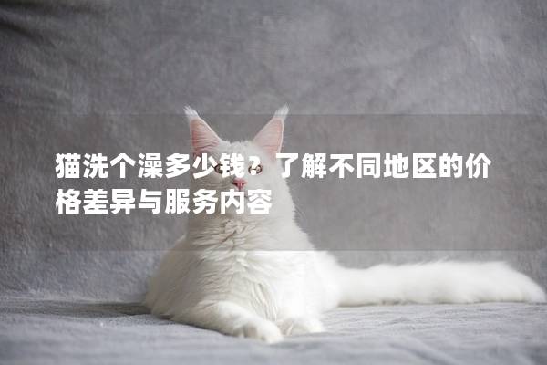 猫洗个澡多少钱？了解不同地区的价格差异与服务内容