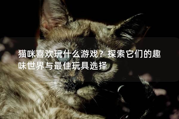 猫咪喜欢玩什么游戏？探索它们的趣味世界与最佳玩具选择