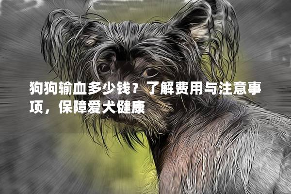 狗狗输血多少钱？了解费用与注意事项，保障爱犬健康