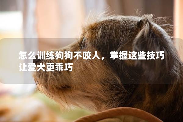 怎么训练狗狗不咬人，掌握这些技巧让爱犬更乖巧