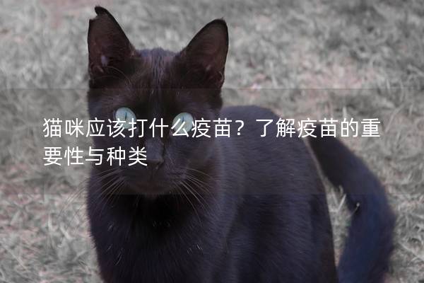 猫咪应该打什么疫苗？了解疫苗的重要性与种类