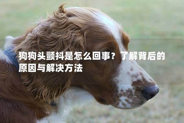 狗狗头颤抖是怎么回事？了解背后的原因与解决方法