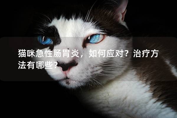 猫咪急性肠胃炎，如何应对？治疗方法有哪些？