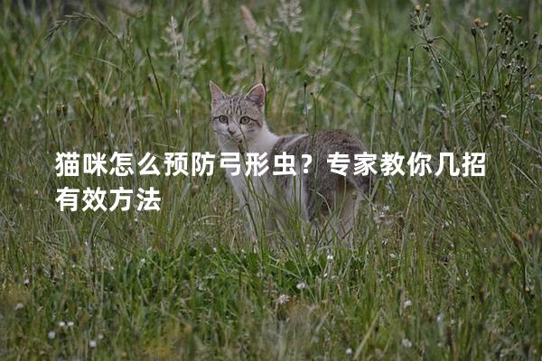 猫咪怎么预防弓形虫？专家教你几招有效方法