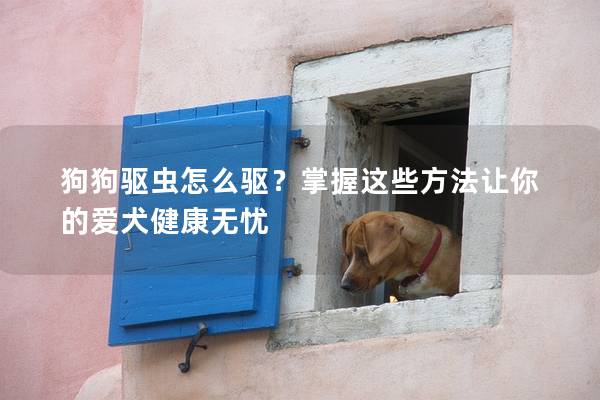 狗狗驱虫怎么驱？掌握这些方法让你的爱犬健康无忧