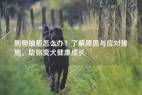 狗狗抽筋怎么办？了解原因与应对措施，助你爱犬健康成长