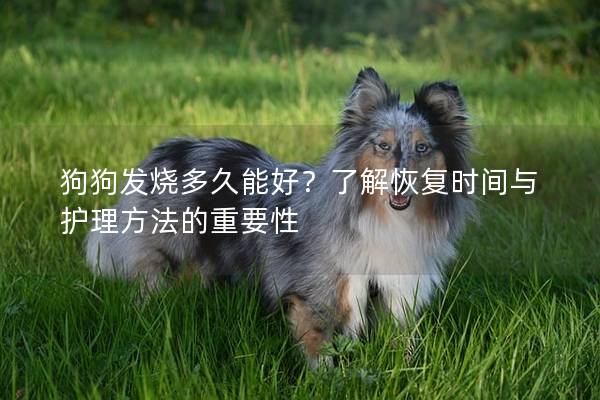 狗狗发烧多久能好？了解恢复时间与护理方法的重要性