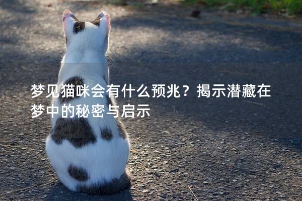 梦见猫咪会有什么预兆？揭示潜藏在梦中的秘密与启示