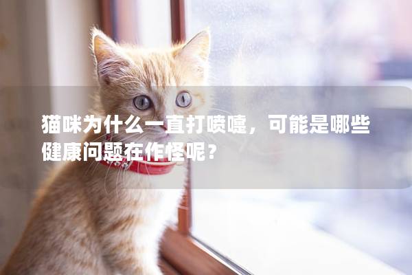 猫咪为什么一直打喷嚏，可能是哪些健康问题在作怪呢？