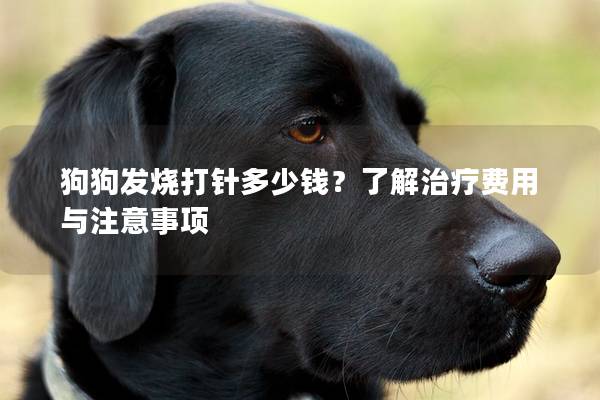 狗狗发烧打针多少钱？了解治疗费用与注意事项