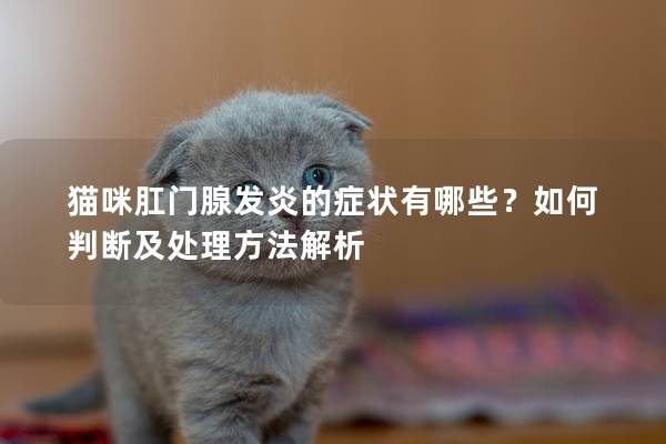 猫咪肛门腺发炎的症状有哪些？如何判断及处理方法解析