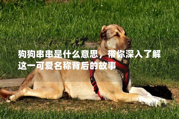 狗狗串串是什么意思,带你深入了解这一可爱名称背后的故事