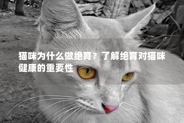 猫咪为什么做绝育？了解绝育对猫咪健康的重要性