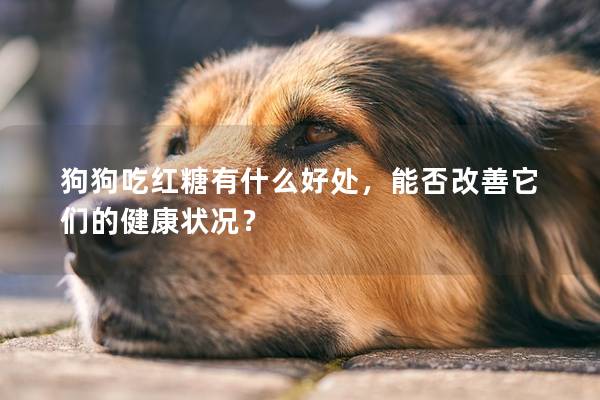 狗狗吃红糖有什么好处，能否改善它们的健康状况？