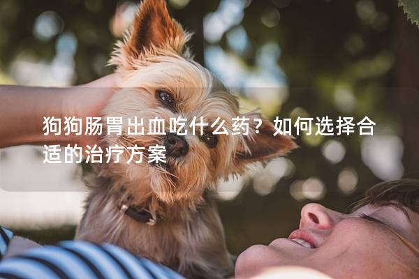 狗狗肠胃出血吃什么药？如何选择合适的治疗方案