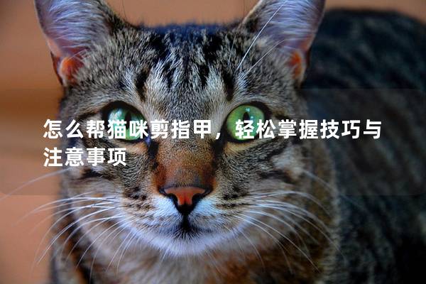 怎么帮猫咪剪指甲，轻松掌握技巧与注意事项