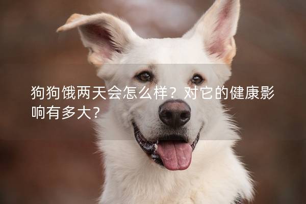 狗狗饿两天会怎么样？对它的健康影响有多大？