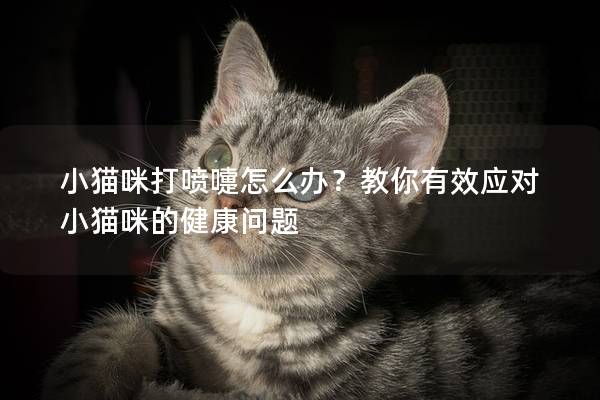 小猫咪打喷嚏怎么办？教你有效应对小猫咪的健康问题