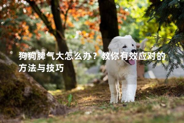 狗狗脾气大怎么办？教你有效应对的方法与技巧