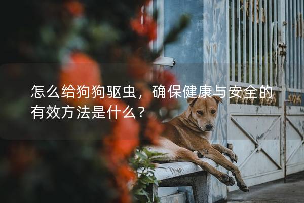 怎么给狗狗驱虫，确保健康与安全的有效方法是什么？