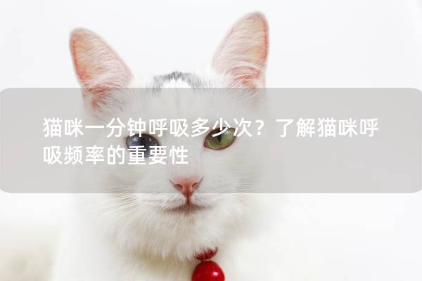 猫咪一分钟呼吸多少次？了解猫咪呼吸频率的重要性