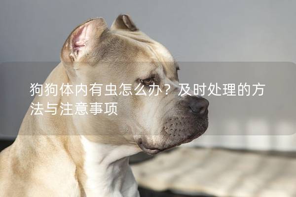 狗狗体内有虫怎么办？及时处理的方法与注意事项