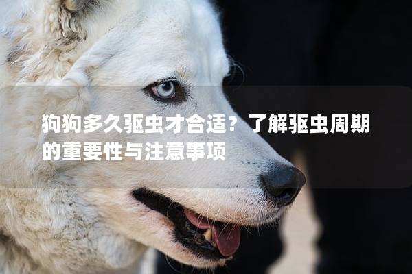 狗狗多久驱虫才合适？了解驱虫周期的重要性与注意事项