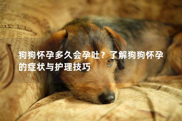 狗狗怀孕多久会孕吐？了解狗狗怀孕的症状与护理技巧