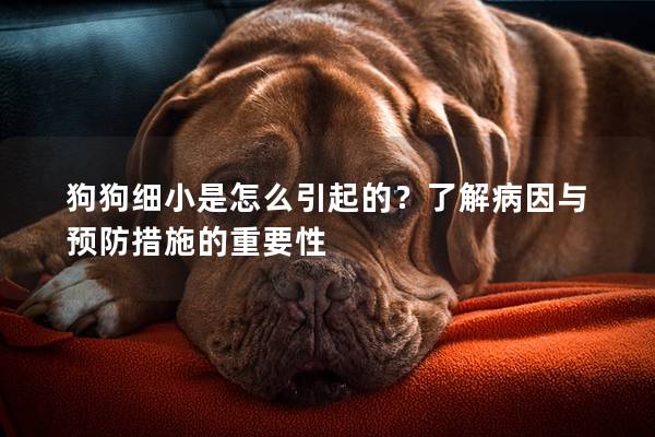 狗狗细小是怎么引起的？了解病因与预防措施的重要性