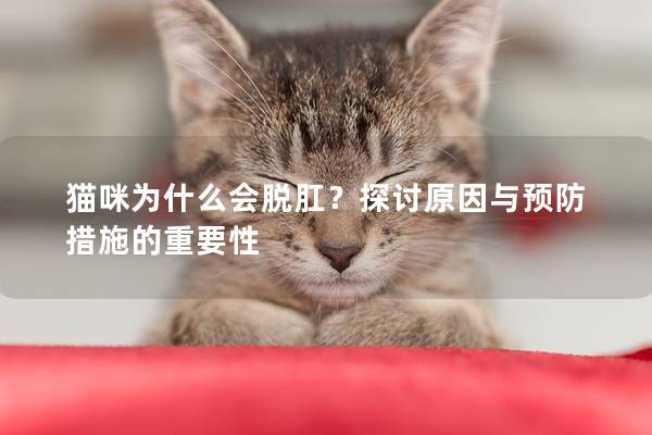 猫咪为什么会脱肛？探讨原因与预防措施的重要性