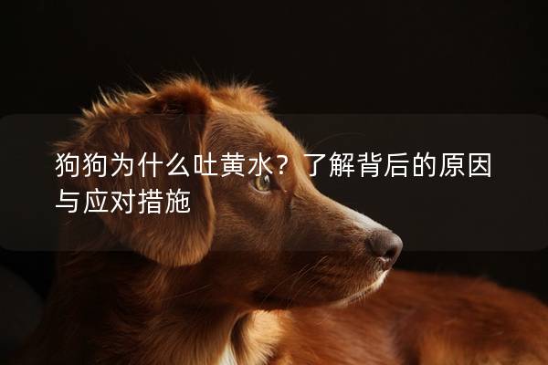 狗狗为什么吐黄水？了解背后的原因与应对措施