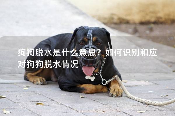 狗狗脱水是什么意思?如何识别和应对狗狗脱水情况
