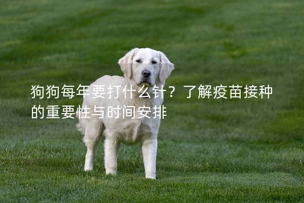 狗狗每年要打什么针?了解疫苗接种的重要性与时间安排